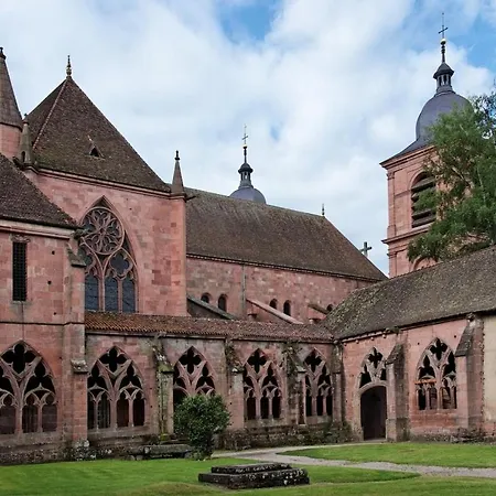 Les Lapins Des Vosges ! * Saulcy-sur-Meurthe